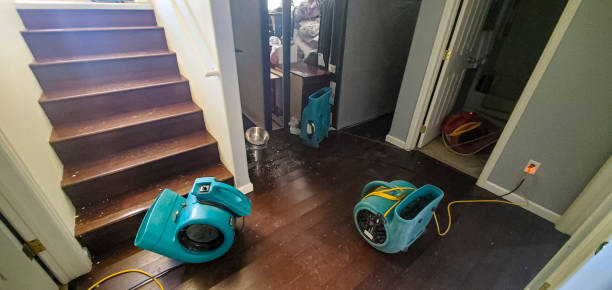 Best Local water damage restoration  in Genoa City, WI