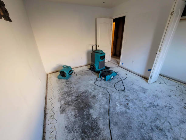 Best Flood damage cleanup  in Genoa City, WI
