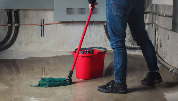 Best Flood restoration services  in Genoa City, WI
