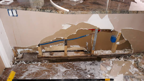 Best Flooded house restoration  in Genoa City, WI