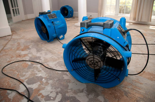Best 24/7 water damage repair  in Genoa City, WI