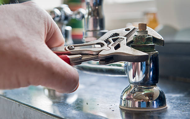 Best Mold removal after water damage  in Genoa City, WI