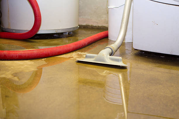 Best Water damage restoration near me  in Genoa City, WI